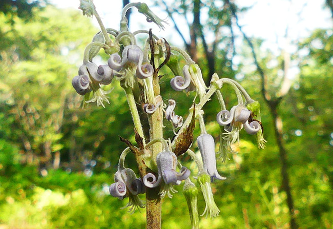 P3960438