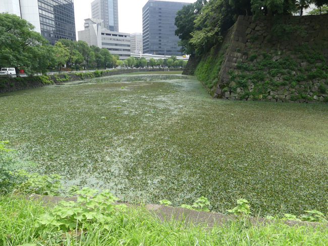 P5040239_edited-1