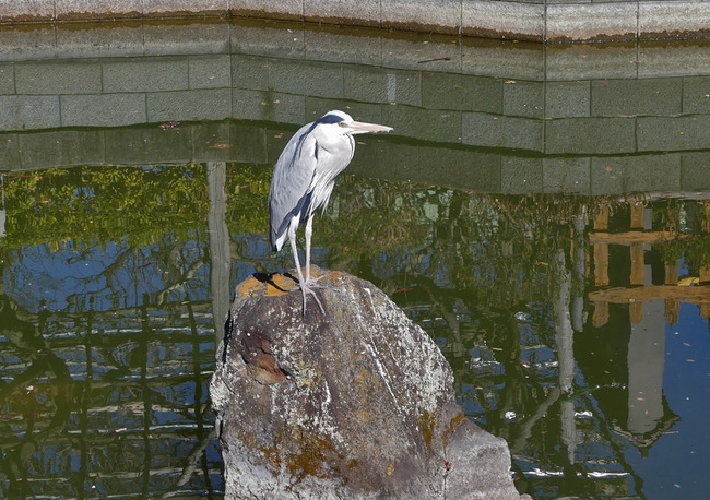 P2540118