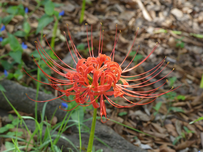 P3430123
