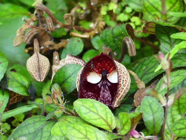 P3590482