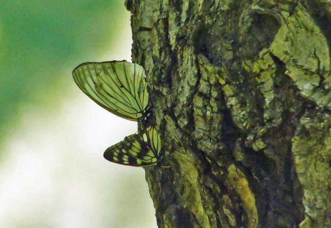 P7810197_edited-1