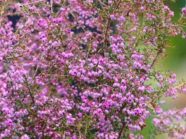 P5980502