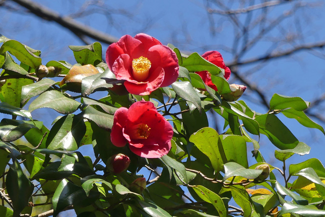 P6140820