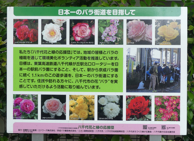 P3010493