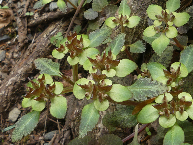 P6340839