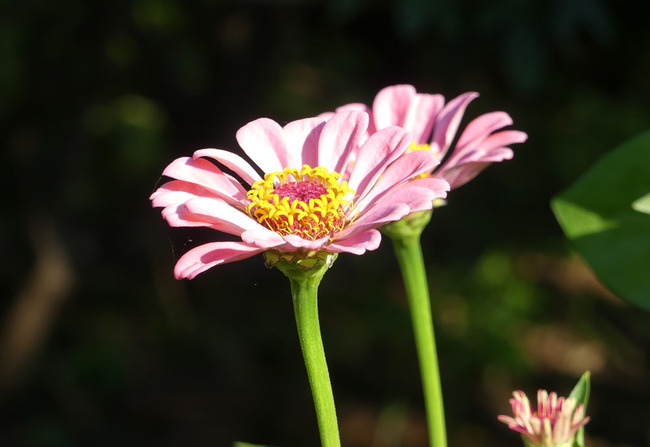 P6700062
