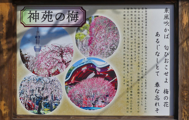 P6070167