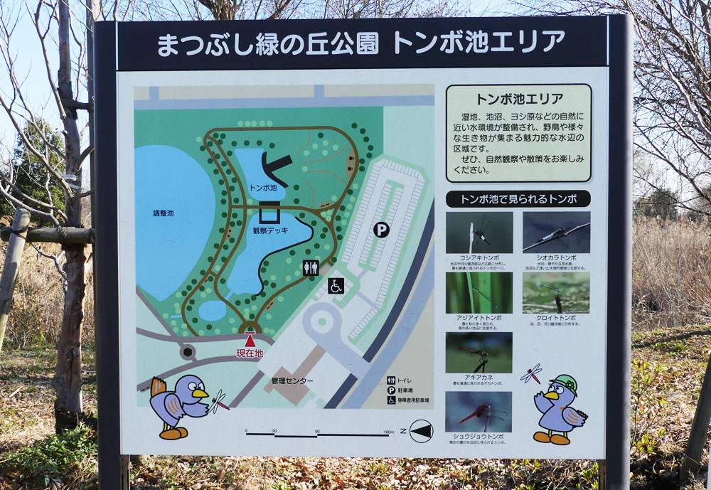 イメージ 4