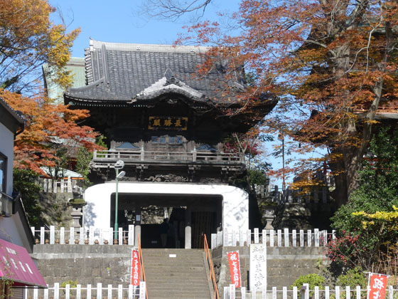 イメージ 11