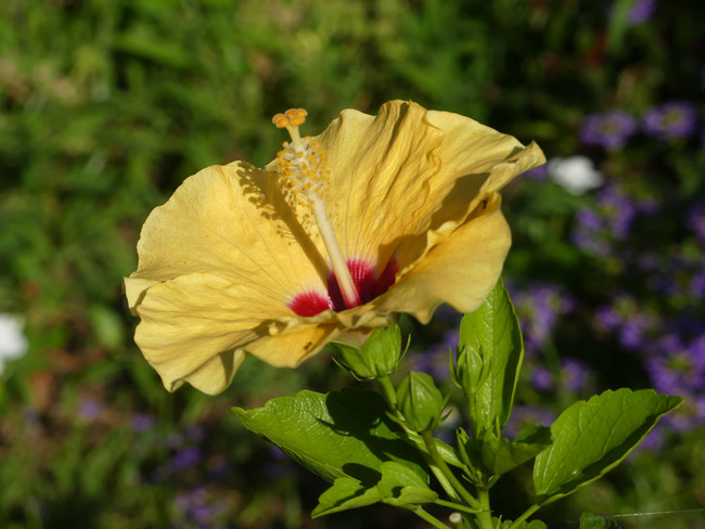 P6700056