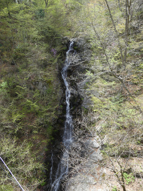 P6350288
