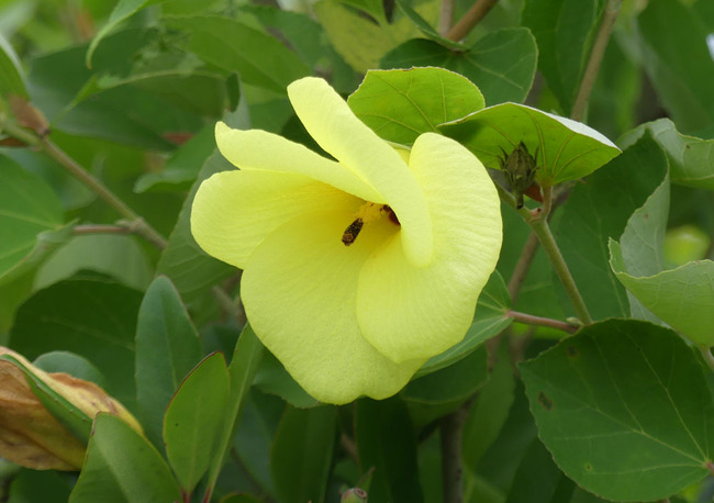 P5990664_edited-1