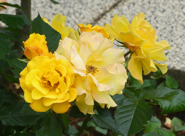 P4030839