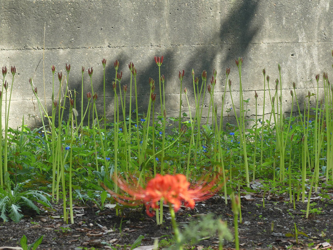 P3430128