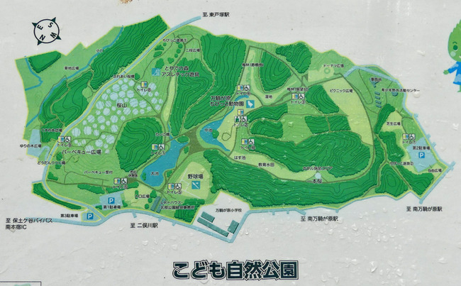 こそも自然公園P7990169_edited-1