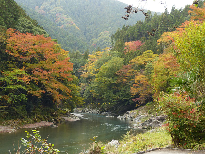 御岳渓谷の紅葉風景 四季の風2 御岳渓谷の紅葉風景 四季の風2