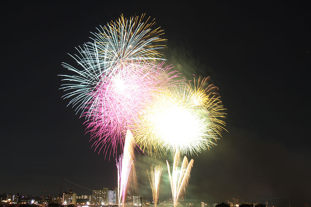 イメージ 6