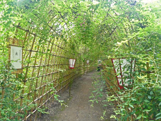 P3500133