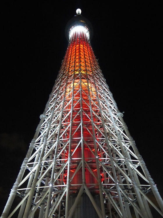イメージ 3