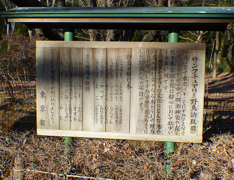 イメージ 6