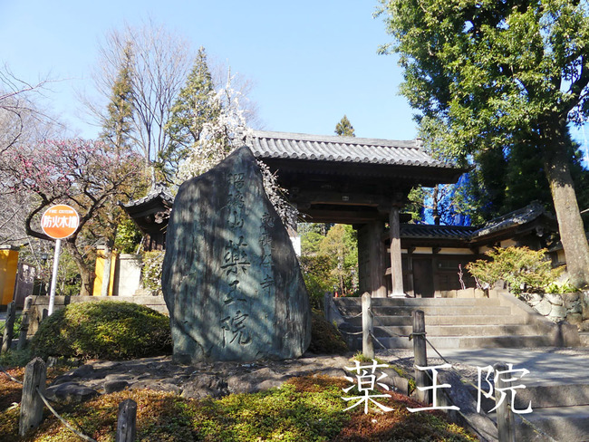 P5990045_edited-1