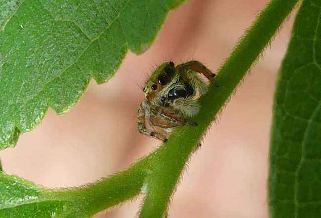 P6780312
