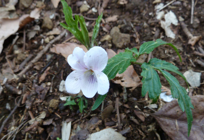 P1280817