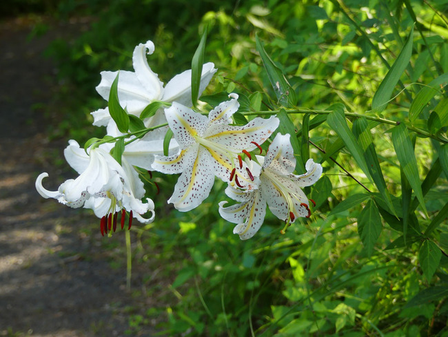 P6710813