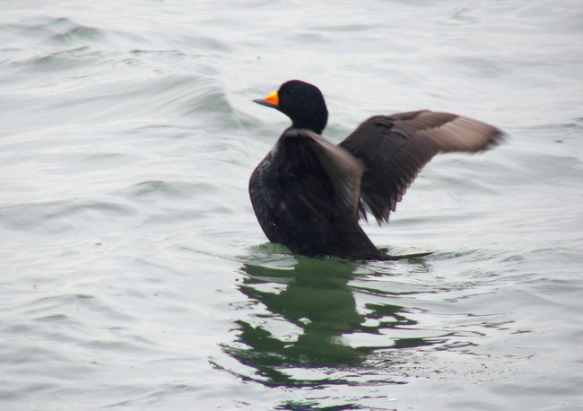 P2470376_edited-1
