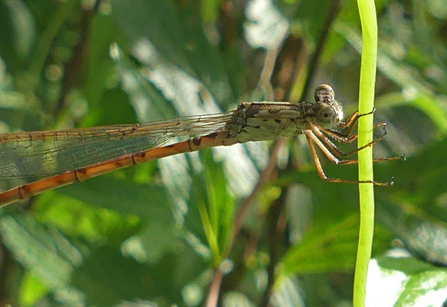 P6790070