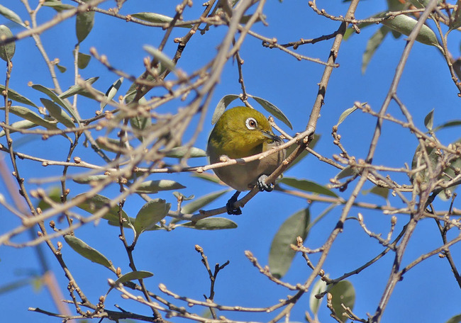 P5980269