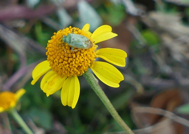 P1180987