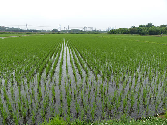 イメージ 3