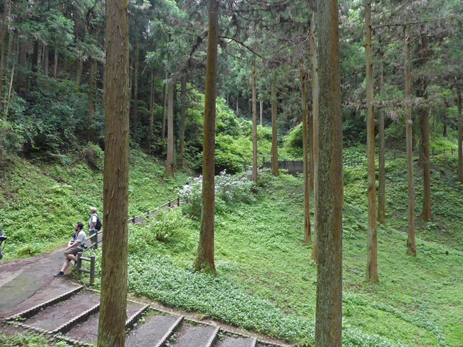 P6580284