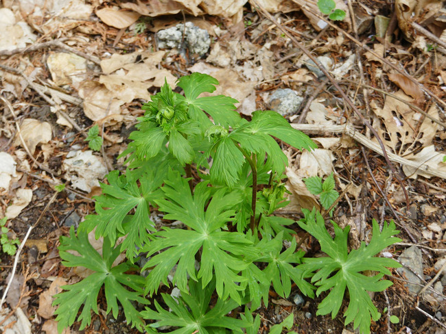 P6340644