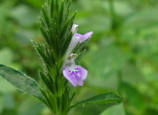 P3480049