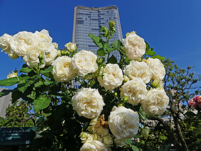 P4690010