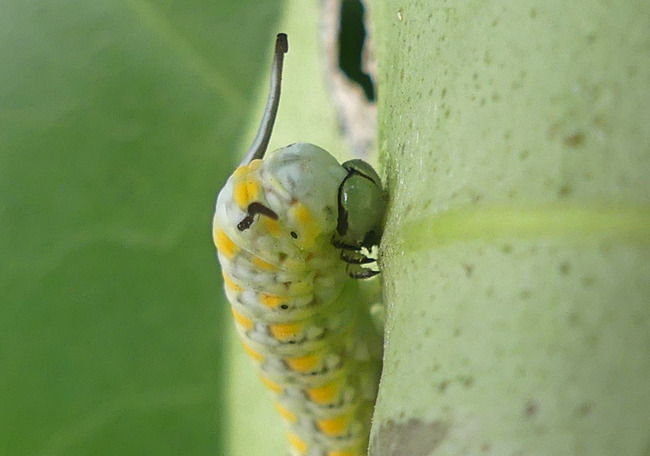 P4690834
