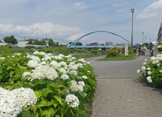 P4150127