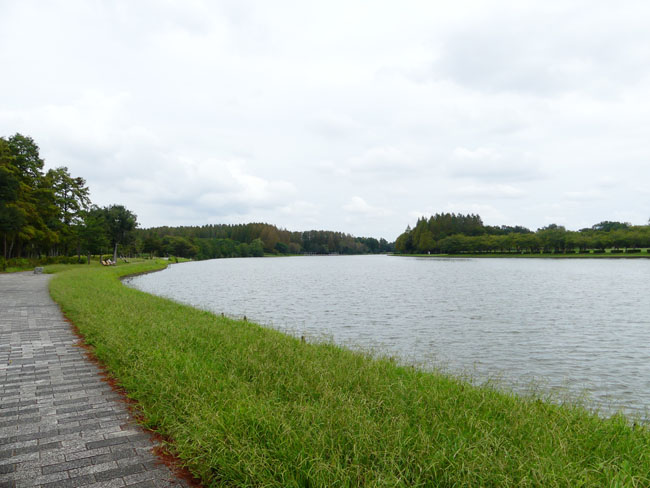 P3780903
