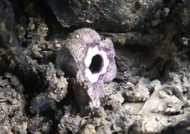 P5520010