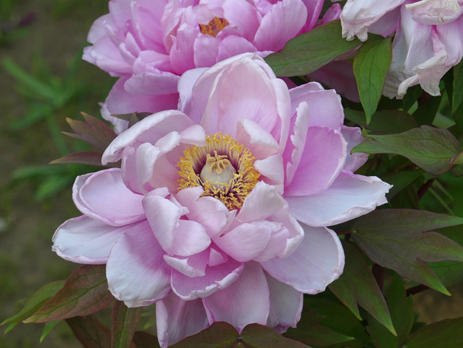 P7720595