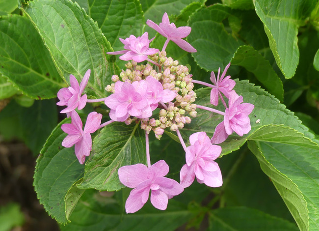 P3100734_edited-1