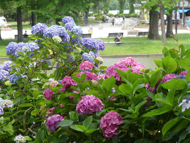 P3100677