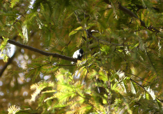 P5700238