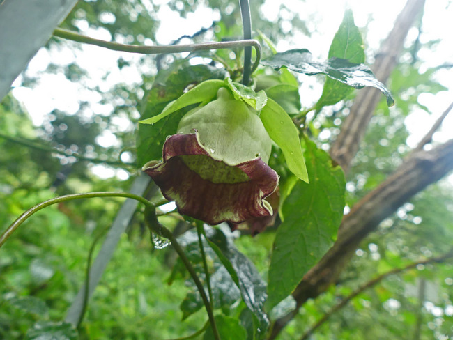 P4630257