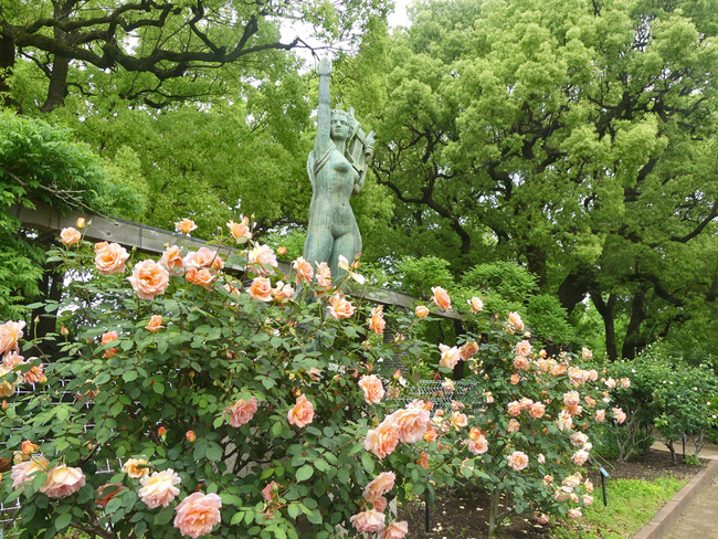 P1770061