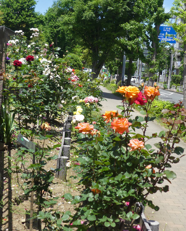 P4050623