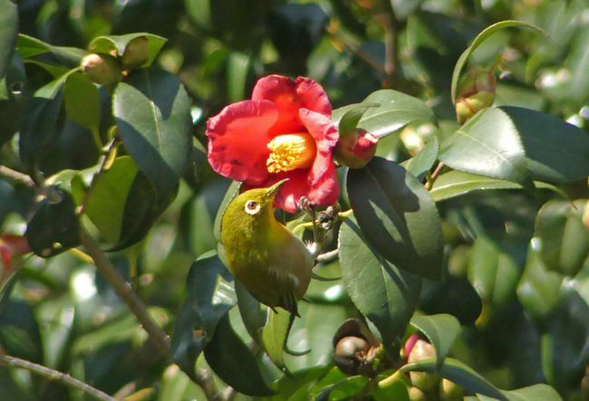 P8250755
